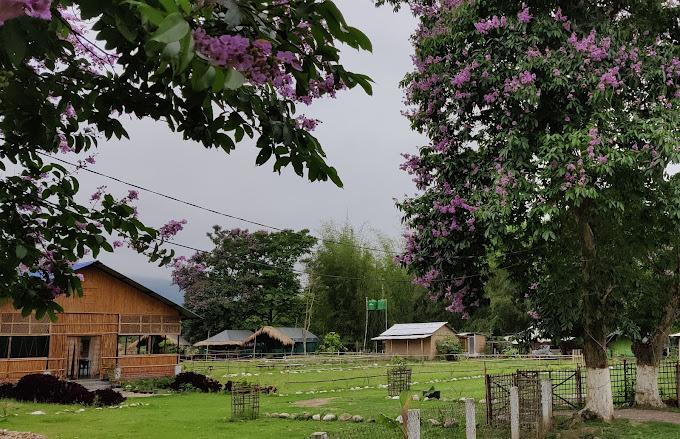 Accommodation Kodom Bari Retreat Kaziranga 4