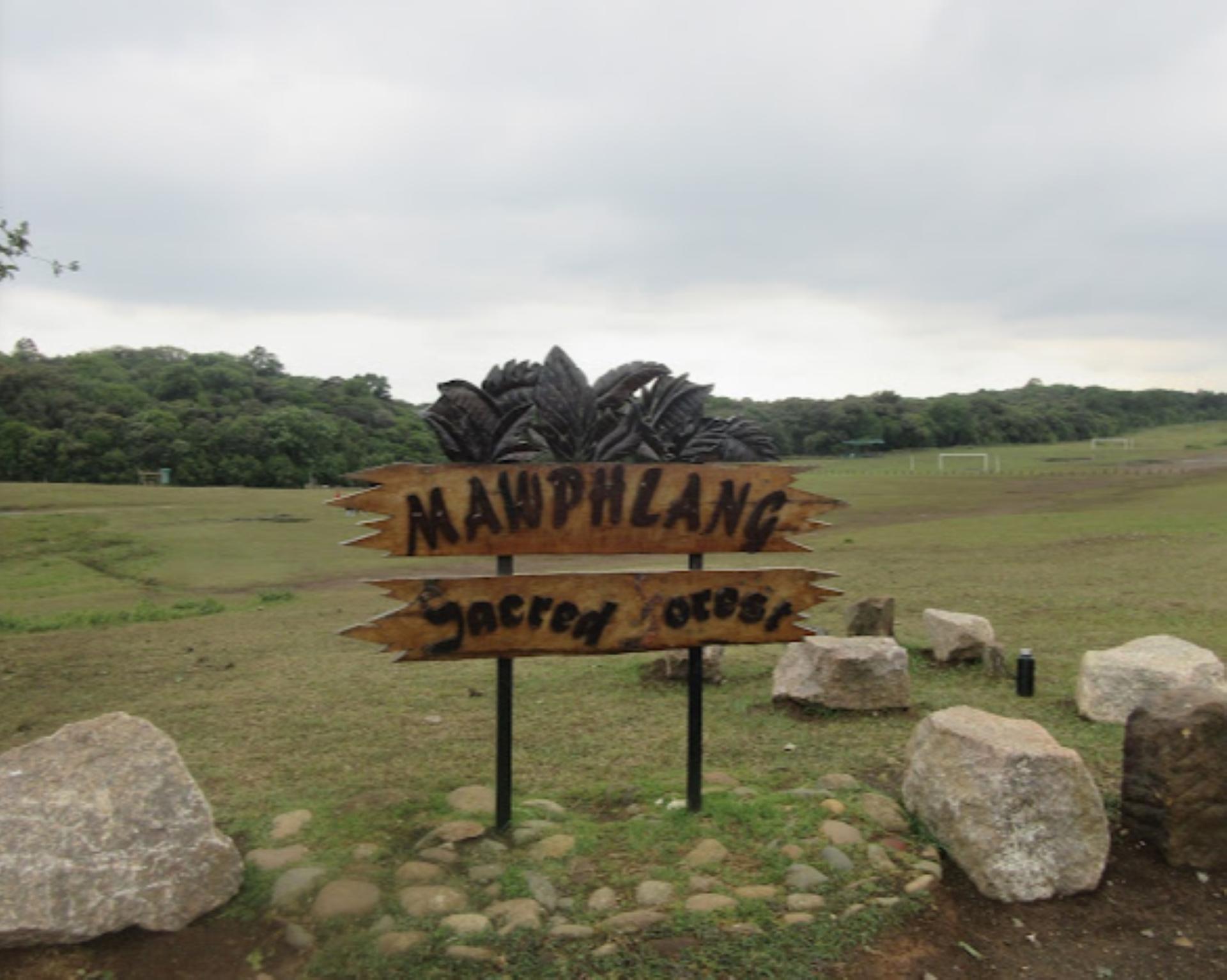 ENCAMP 7N8D KAZIRANGA AND MEGHALAYA PRIVATE TOUR