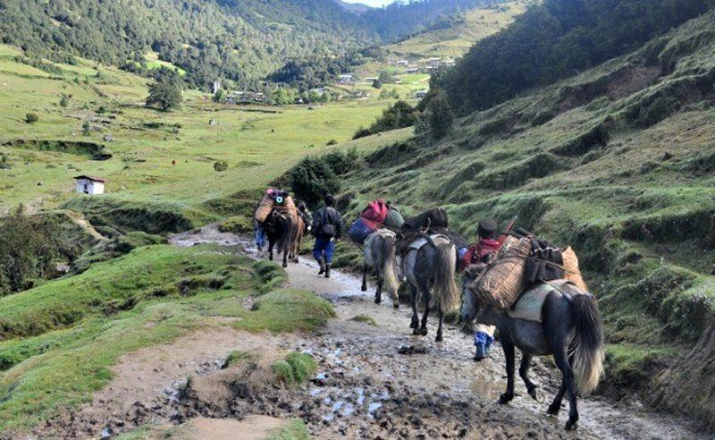 Encamp campsites