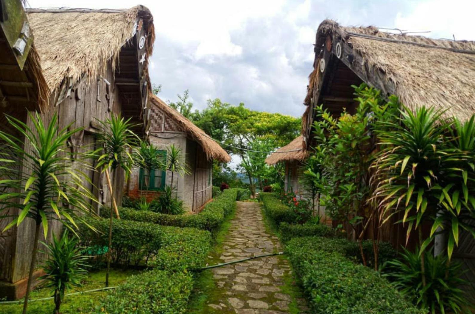 Hornbill Festival And Nagaland Group Tour 3Nights/4 Days 