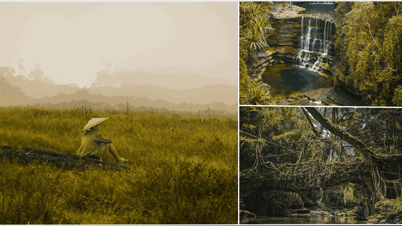 Journey Through Meghalaya: An Immersive 7N-8D Private Tour