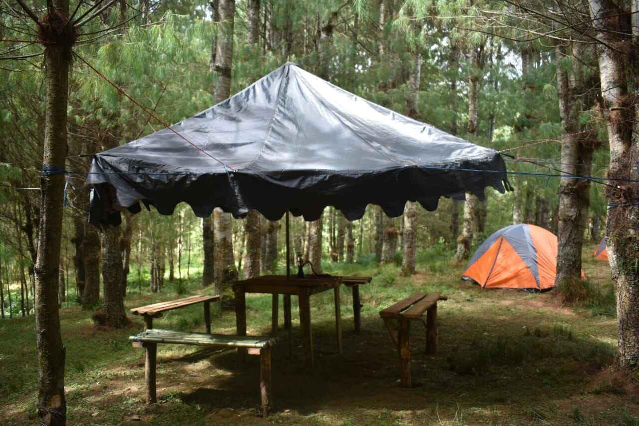 Things to Do in Ziro Valley