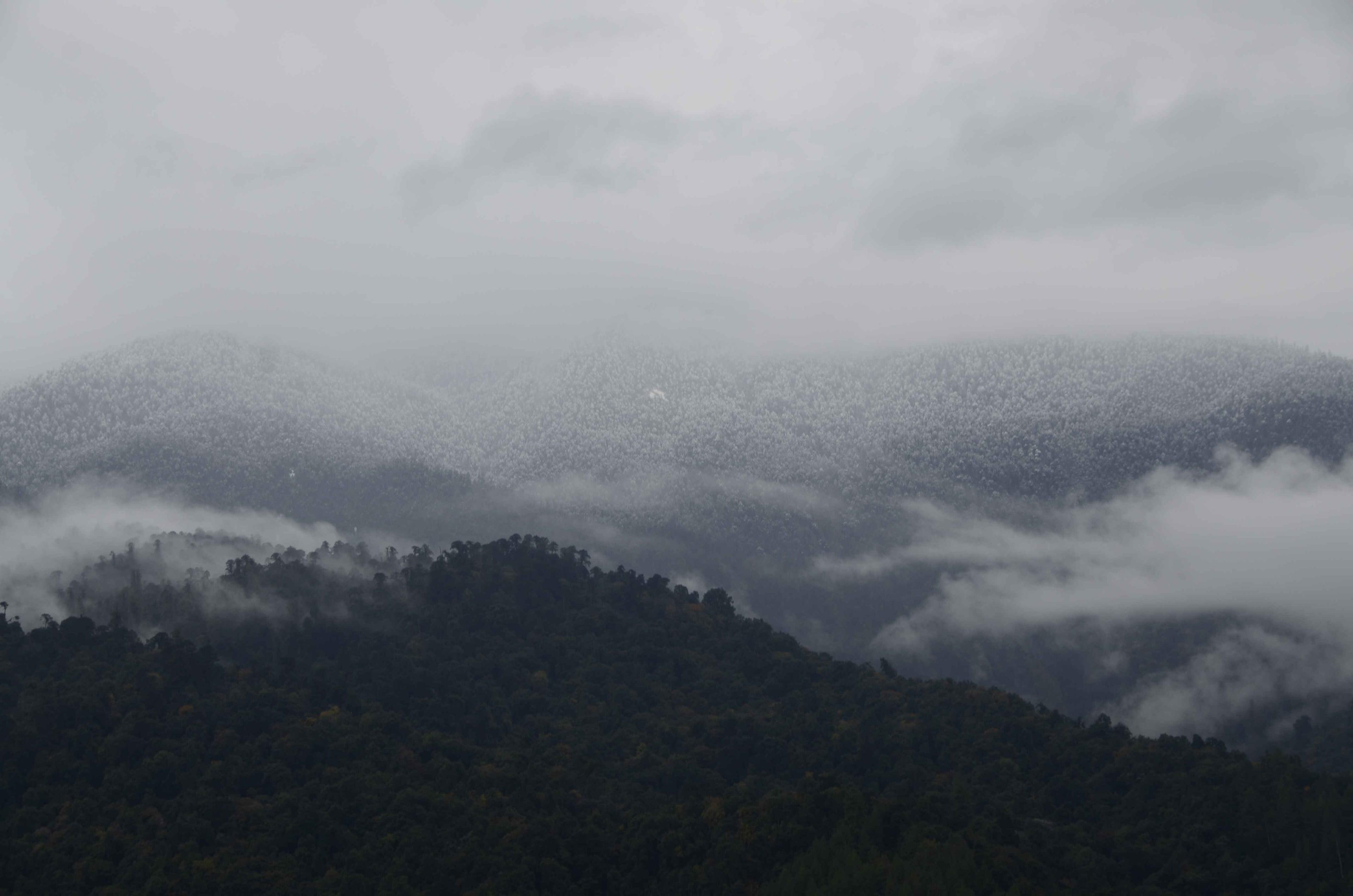 How to Reach Mechuka