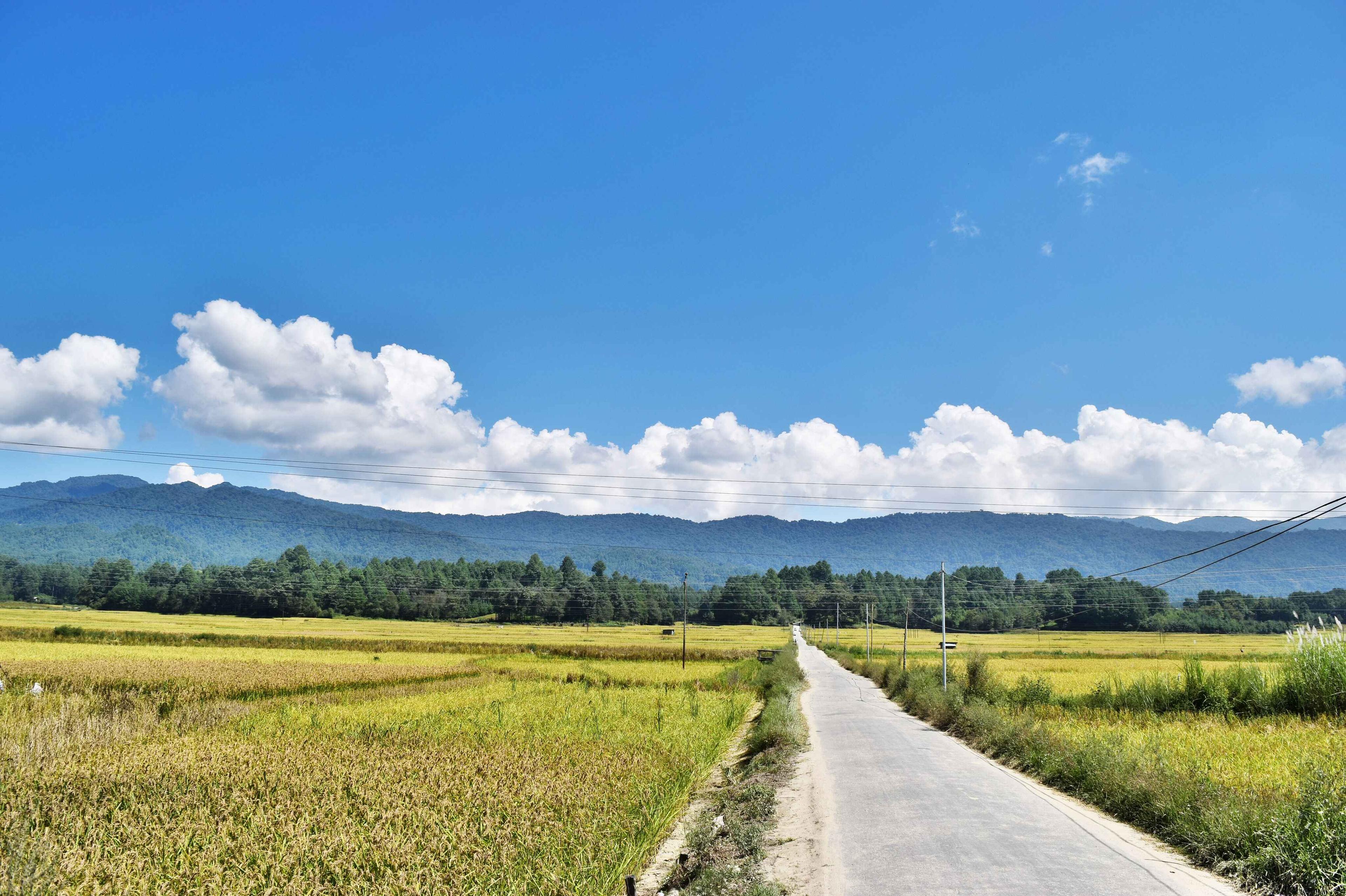 How to Reach Ziro Valley