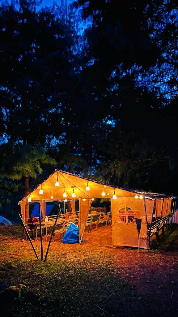 Campsite Vibes at Night
