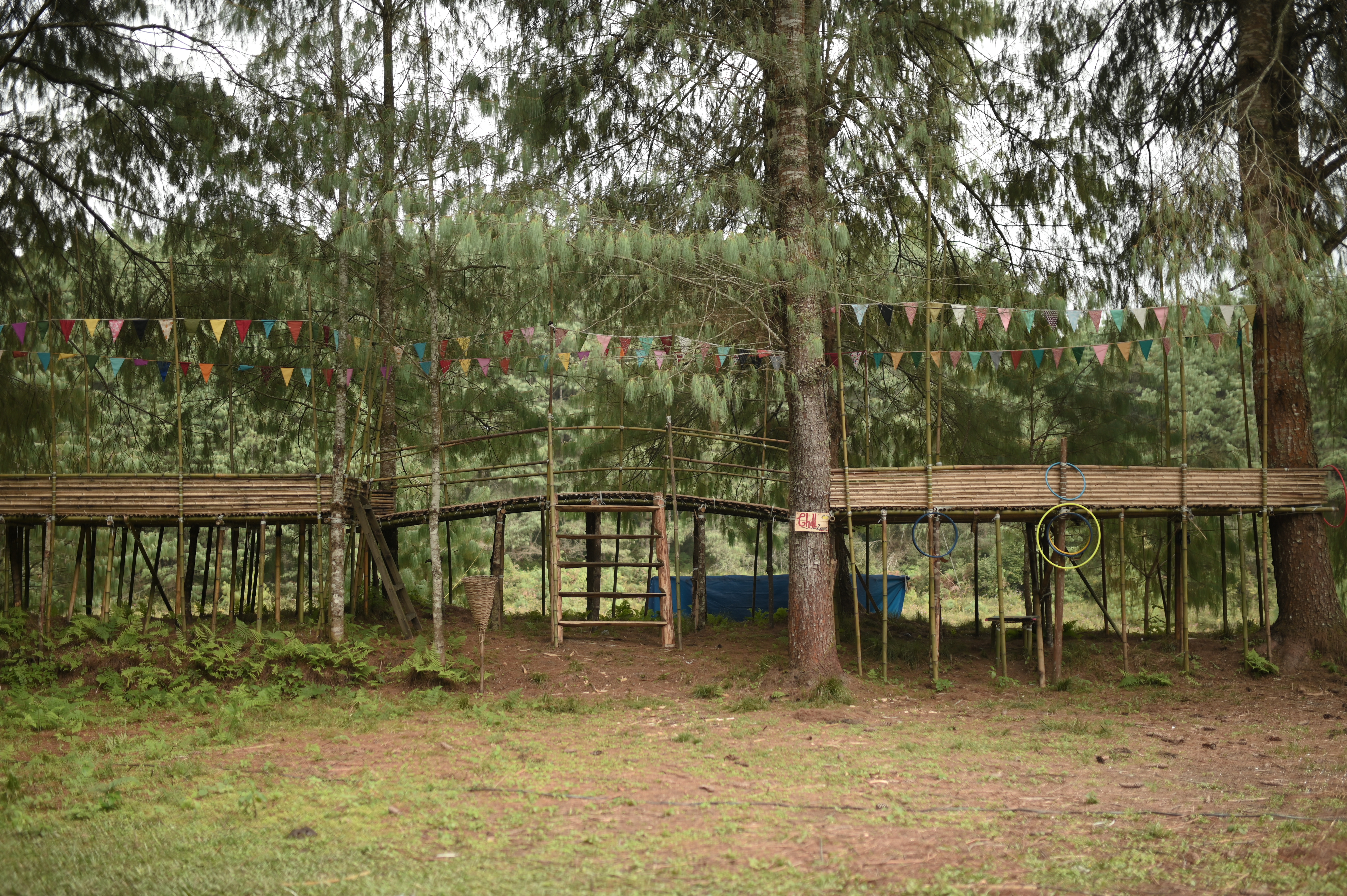 View 18