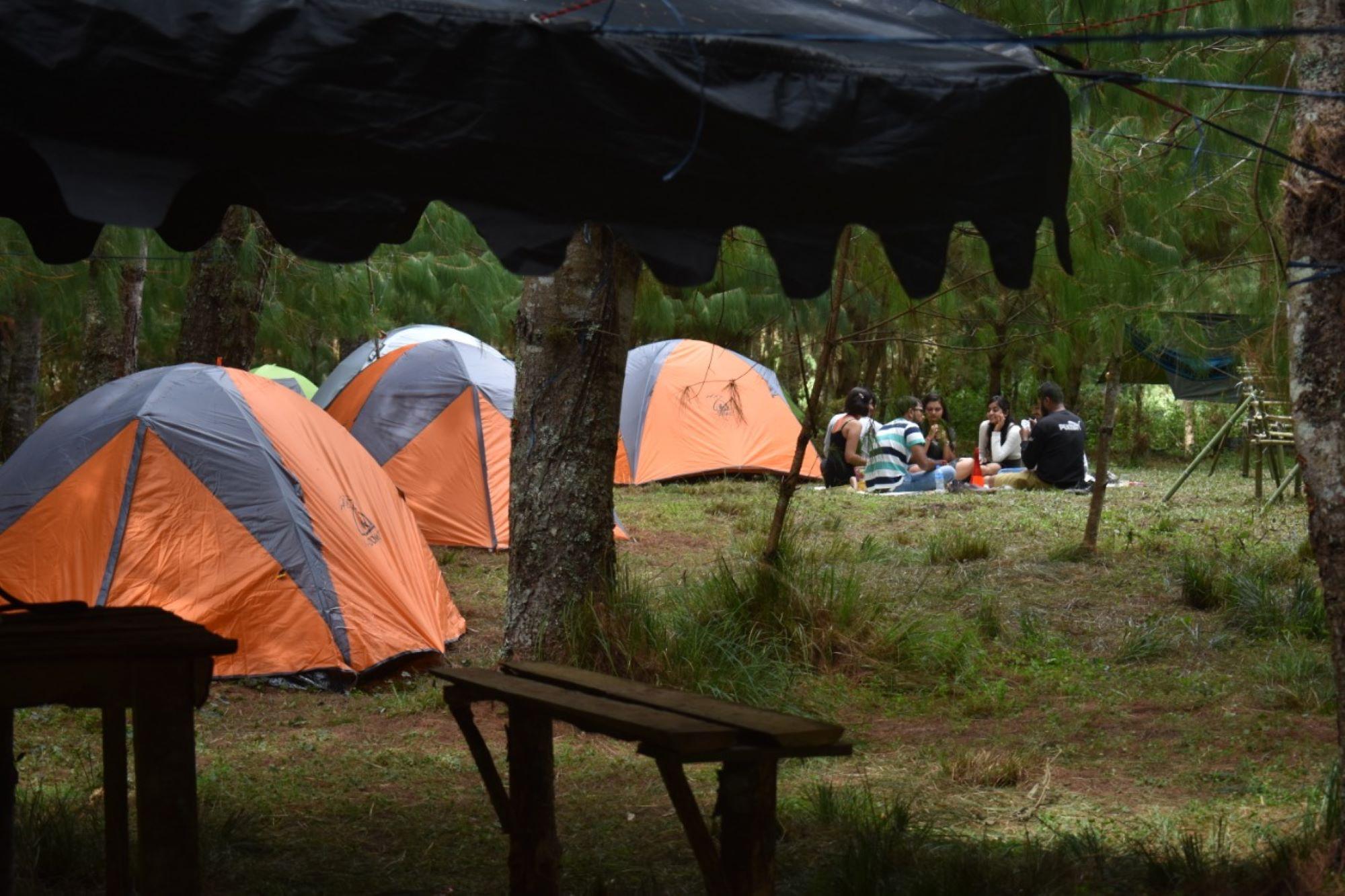 dome tent view 2